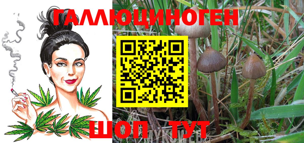 Галлюциногенные грибы Psilocybe  Псилоцибиновые грибы Cubensis  Нижневартовск  Вход с VPN 